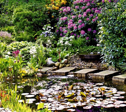 Вотчина Нептуна