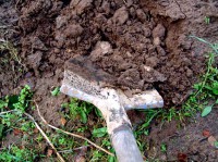 Готовим почву к посадке