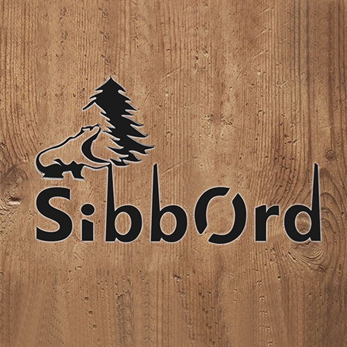 www.sibbord-neuroschool.ru