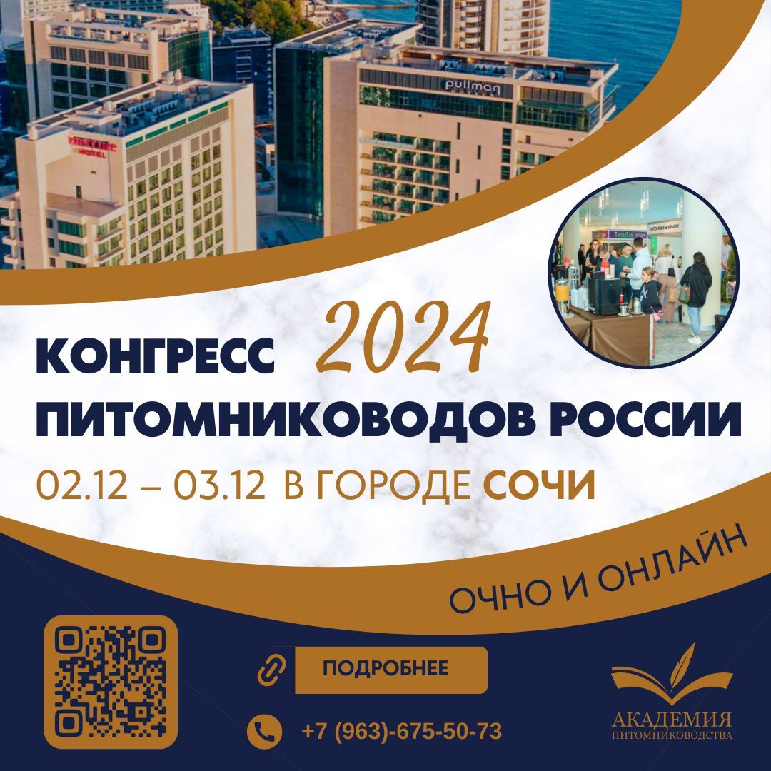 akademiagm.online