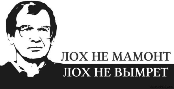 RgCdzSxX1B0.jpg