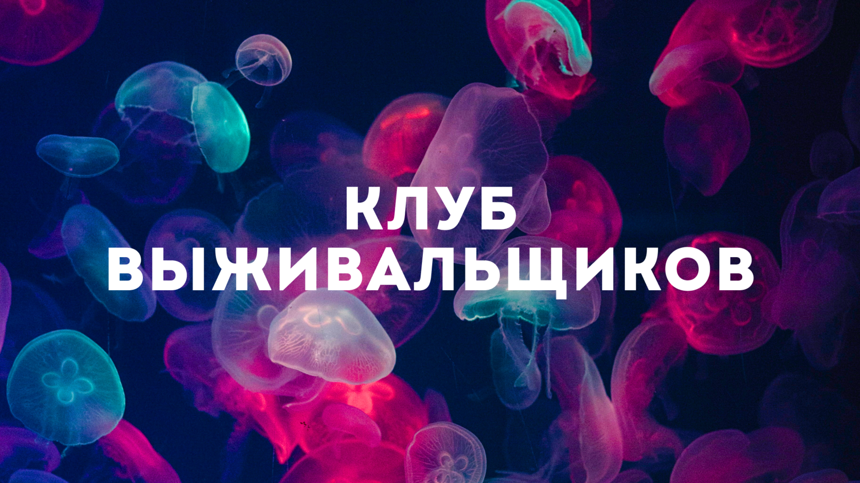 courses.realitymatrix.ru